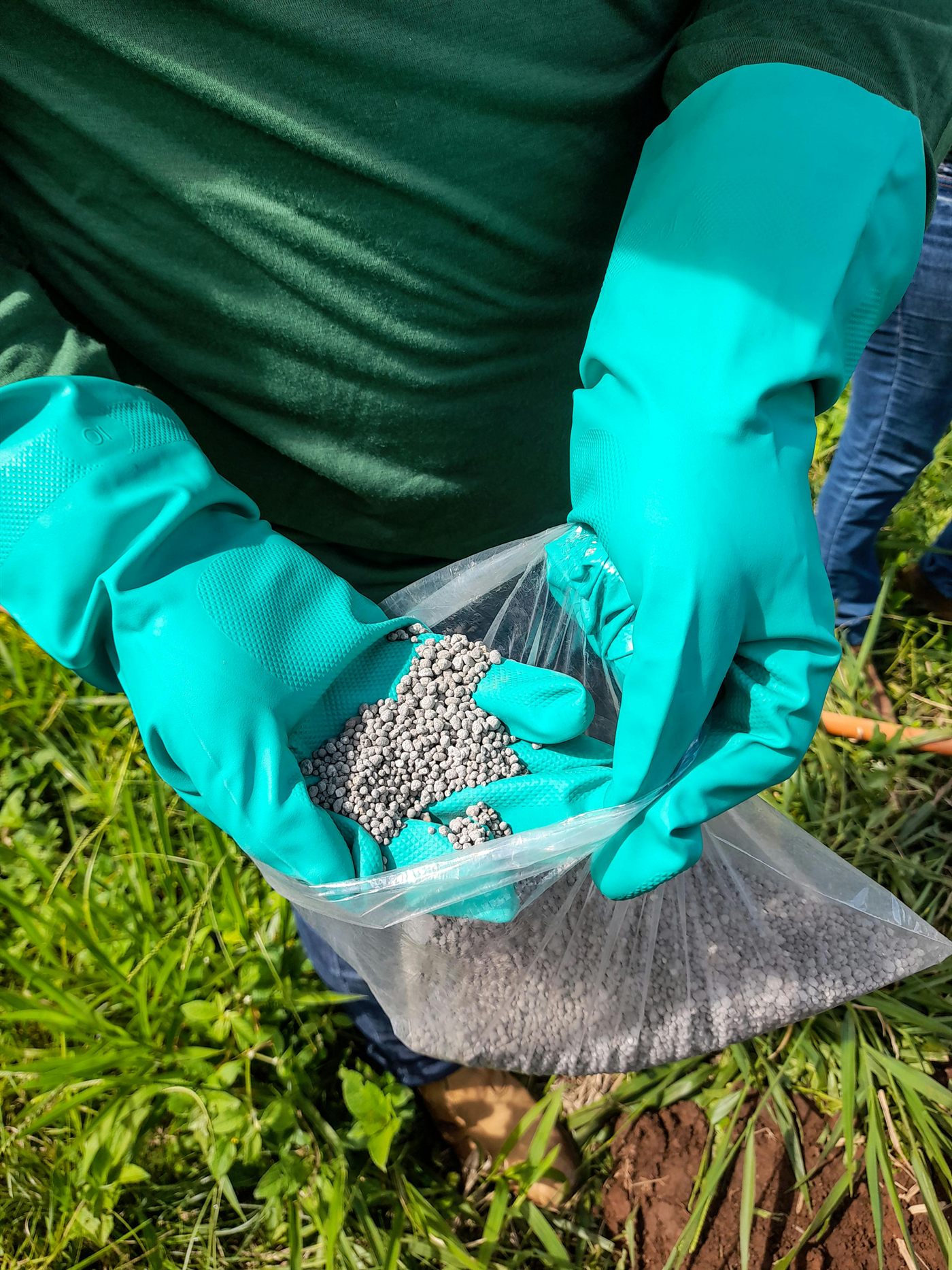 Fertilizante granulado nas mãos de um produtor